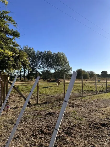 Parcela En Calle Colonia B. Ohiggins En Venta En Chillán