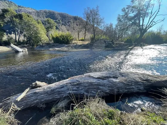 Parcela En Malalcahuello A 20 Mts Del Estero Caracoles.