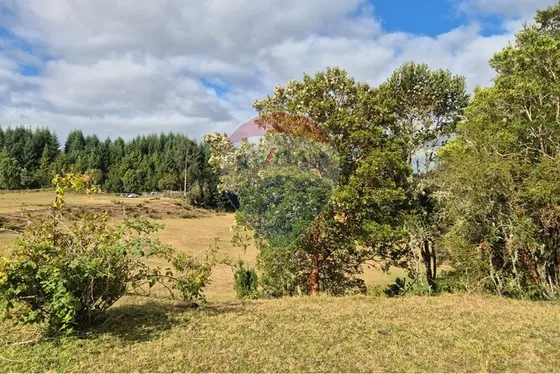 Terreno 10 Ha Sector Piruquina-chiloe