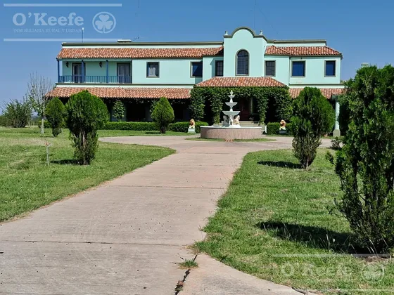Campo En Venta 2500 Has Entre Rios