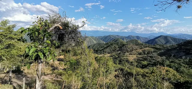 Finca Agrícola Ganadera O Turística En Venta