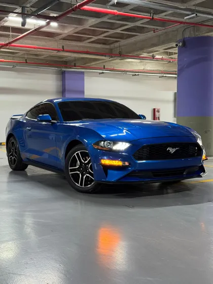 Ford Mustang Mustang