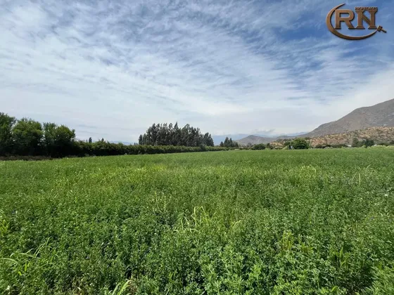 Vende Parcela Agrícola Hab.26300mt2 Colonia Kennedy 224paine