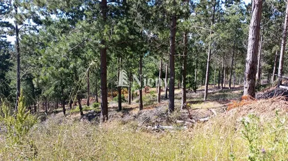 Sitio En Venta En Vichuquén