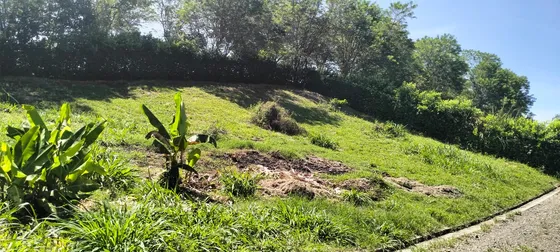 Lote En Venta En Kilometro 41/manizales (279061198).
