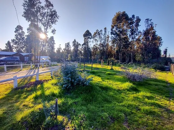 Parcela 5.000 M2 Con Casa 120 M2 En Venta En Litueche