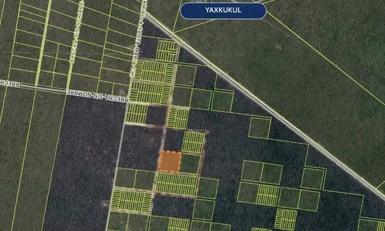 Oportunidad Única De Inversión: Hectárea En Venta En Yaxkukul, Yucatán