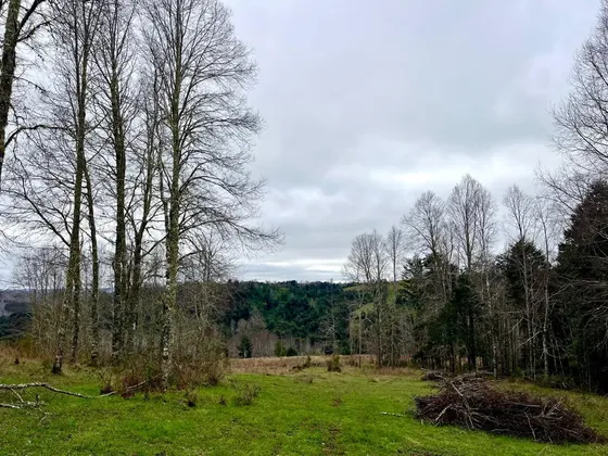 Se Vende Terreno 3 Hectáreas En Fresia Región De Los Lagos