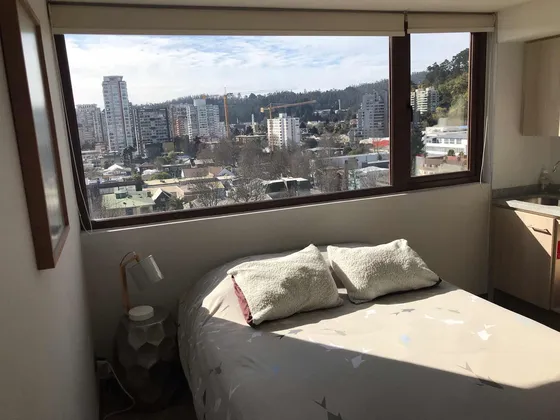 Departamento Estudio Un Ambiente Centro Concepción