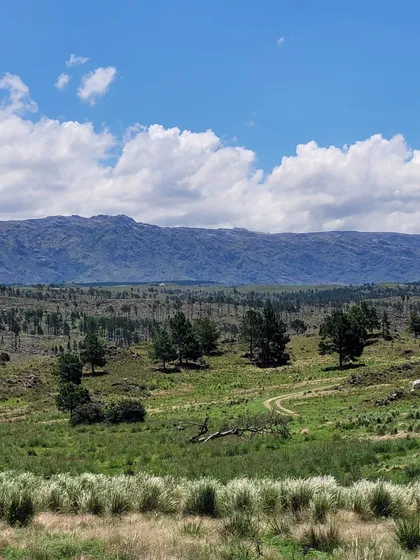 Venta De Chacra De Diez Hectáreas En Athos Pampa - Tlc0027
