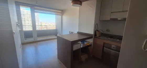Freire Centrico Depto (99331)
