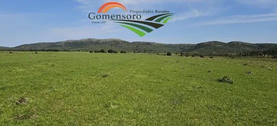 Maldonado  Campo Turístico Agrícola Ganadero 319 Has Con Casa Y Galpón 