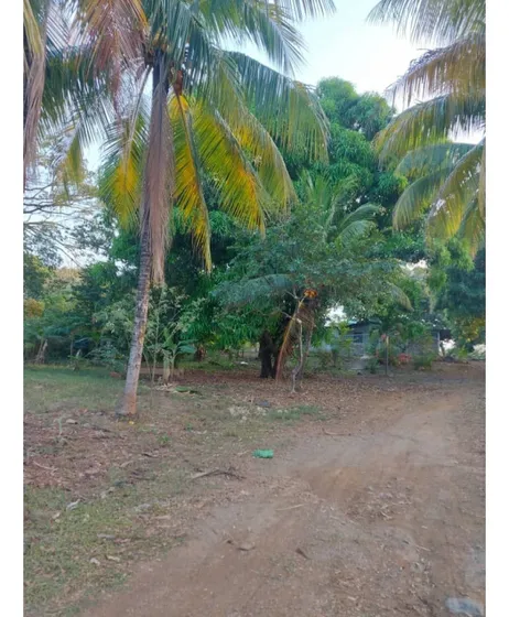 Parcela Con Bienhechurias Bersugas Municipio Ortiz  Guarico