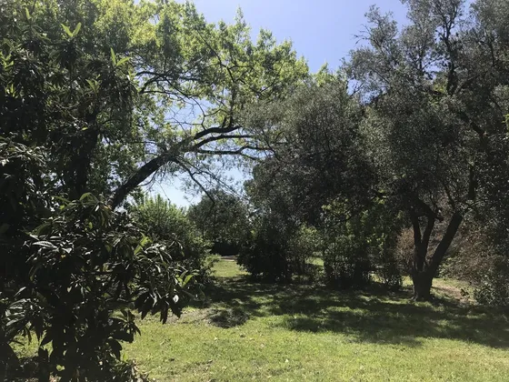 Quinta En  Venta En General Rodriguez