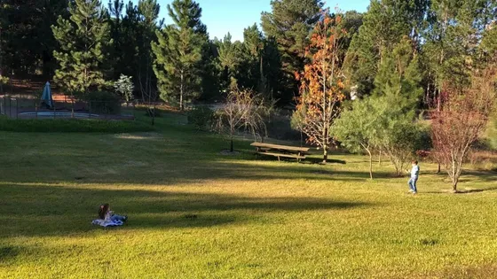 Terreno En Venta - 2.630mts2 - Carmelo, Uruguay