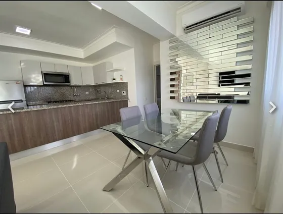 Apartamento Amueblado En Alquiler En Piantini De 1 Habitacion
