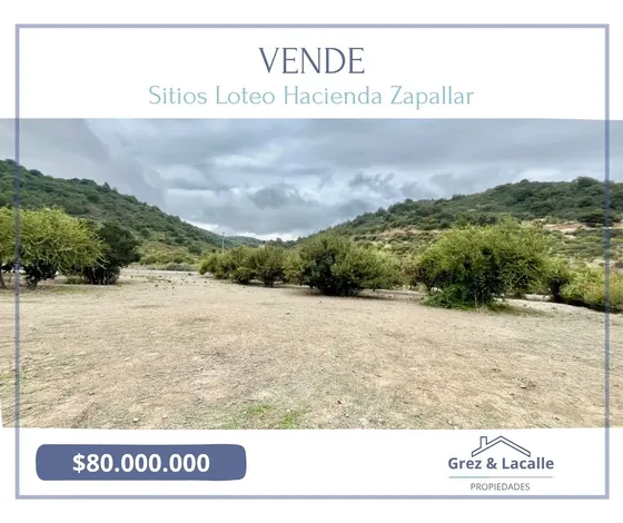 Se Vende Sitio Plano, En Loteo Hacienda Zapallar, Curicó