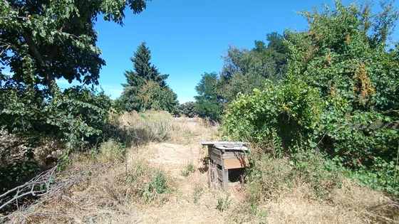 Vende Terreno En Av Los Carreras