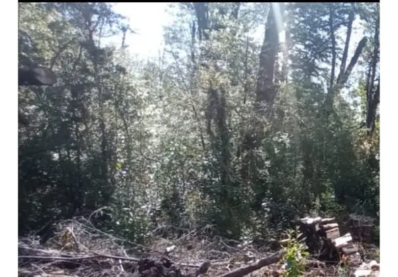Parcela Rebajada En Chiloe