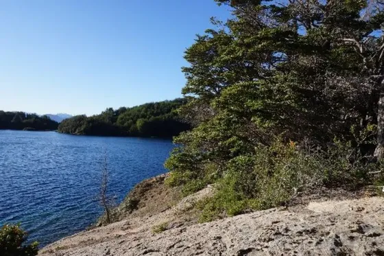 Sitio En Venta En Río Ibáñez