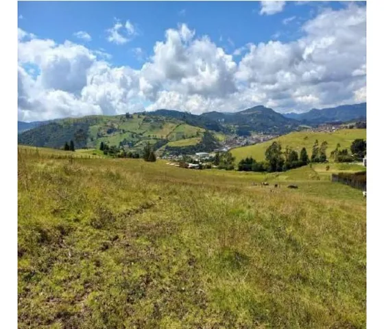 Lote En Venta La Calera- 2,85 Hectáreas, $1200mm