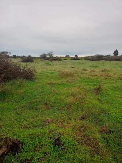Parcela 5.000m2 - A Pasos Del Río Cauquenes | Rol Propio