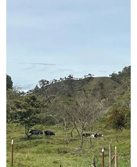 Finca Agroindustrial En Venta Vereda Los Planes Santo Domingo