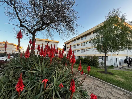 Vendo Cómodo Dpto 3 Dorm, Miraflores Alto (100825)