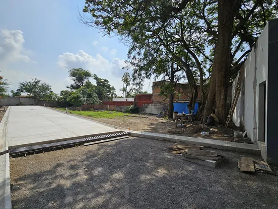 Terrenos En Venta En  Palmira
