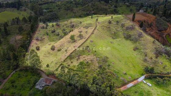 Lote En Venta En Guarne, Antioquia 