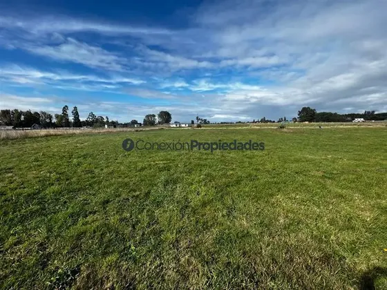 Venta Exclusivas Parcelas / Osorno Ruta Internacional