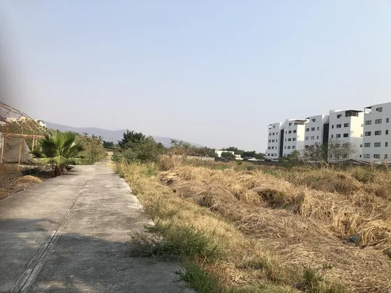 Terreno - Palo Escrito