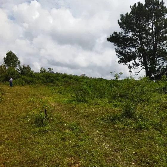 Vendo Terreno San Antonio De Los Altos Va
