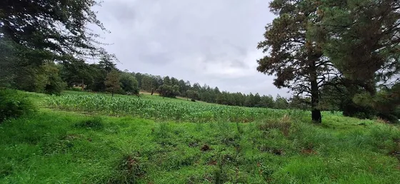 136 Hectáreas A 30 Minutos De Valle