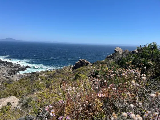 Parcela En Venta Con Orilla De Mar En Coquimbo