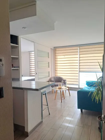 Arriendo Dpto Barrio Ñuñoa (171996)
