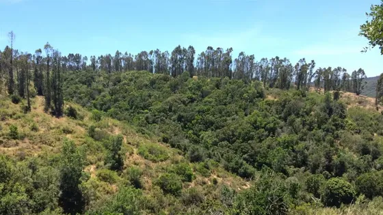 Turisticas En Venta En El Tabo