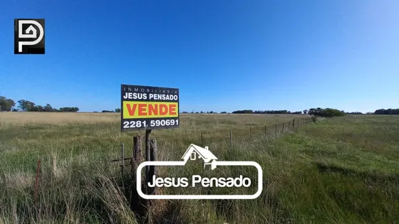 En Venta Quinta 5 Hectareas. Crotto-  Tapalqué 