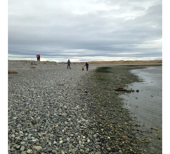 Terreno Campo 234 Ha  En Tierra Del Fuego Con Acceso Al Estr