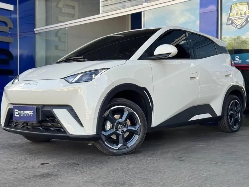 BYD Dolphin Mini