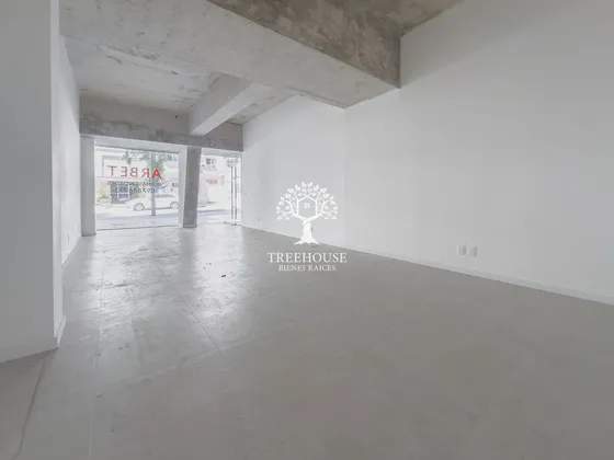 Venta Local Comercial Punta Carretas (ref: Tbr-4006)