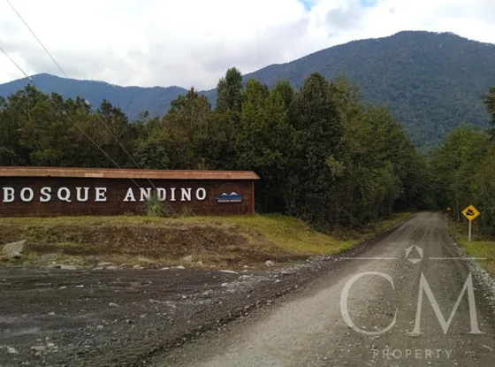 Parcela En Parque Alerce Andino, Sector Correntoso