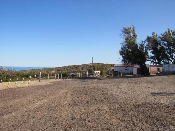  5 Km De Costa Sobre El Mar (unico) A 40 Km De Trelew Y Rawson , 4700 Ha, Al Sur Casa Ppal 2 Dorm Mas Galpon                      