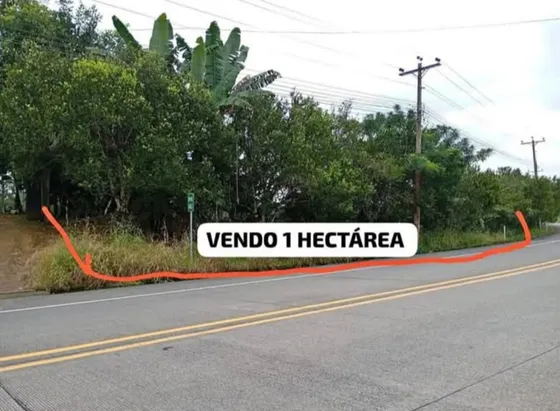 Se Vende 1 Hectárea En El Carmen Sector Chontillal 
