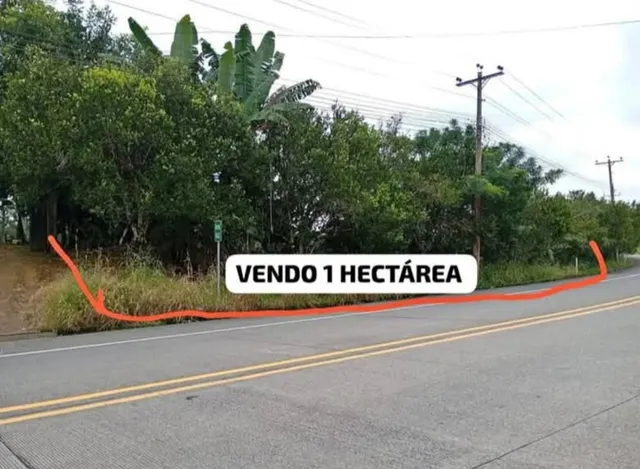 Se Vende 1 Hectárea En El Carmen Sector Chontillal 
