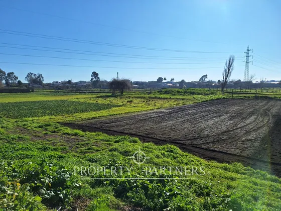Terreno Para Desarrollo En Michaihue