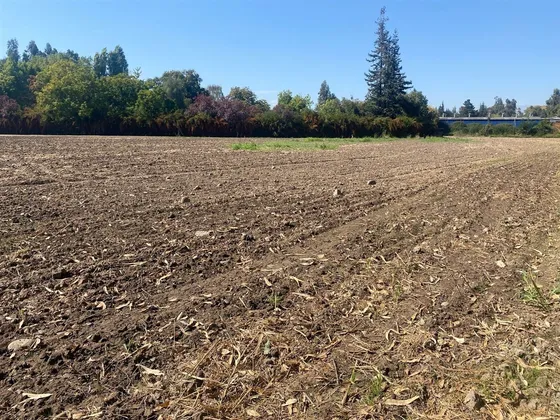 Parcela 5.000 Mt2 En Venta En Calera De Tango