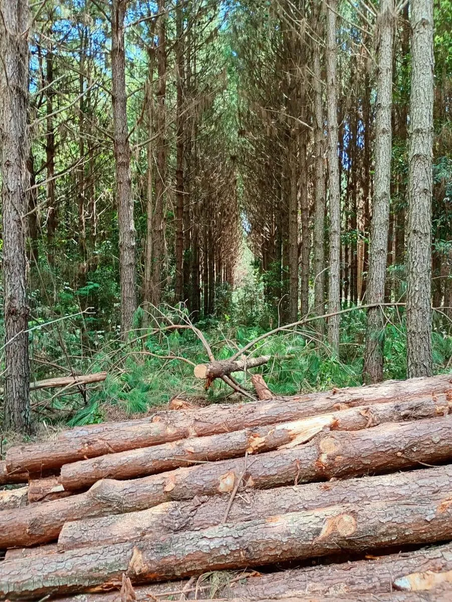Venta Campo En El Dorado/ Misiones