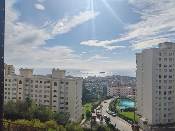 Arriendo Departamento,viña Del Mar Alto