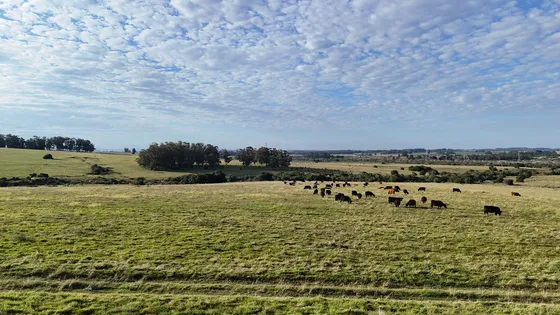 129 Ha Sobre Arroyo Jose Ignacio